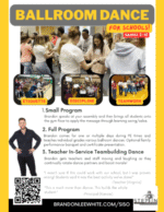 SISO flyer